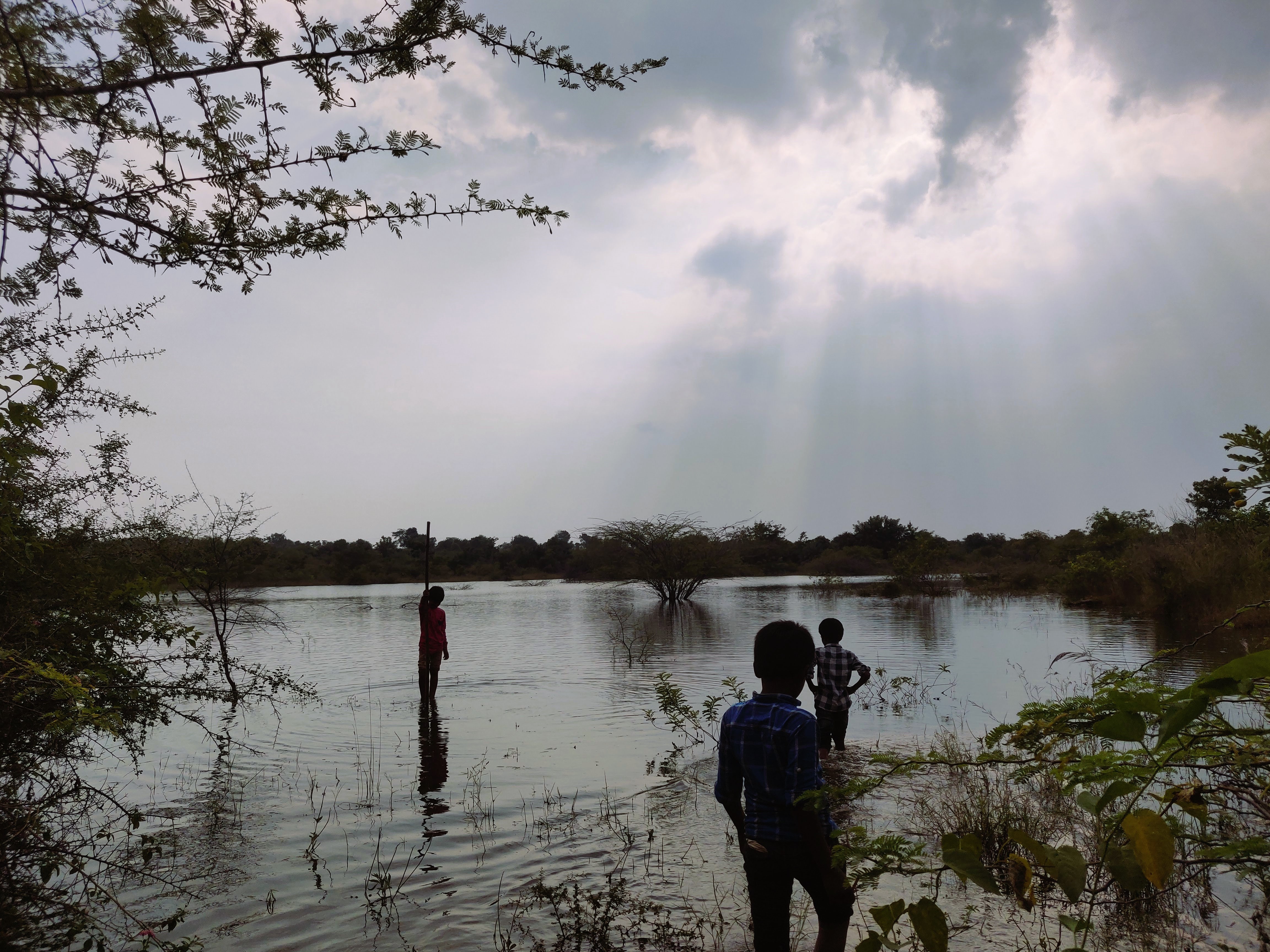 How Permaculture Changed My Views on Quality Living
